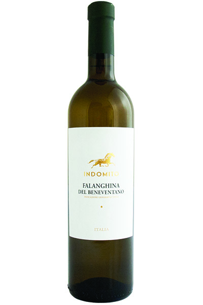 Falanghina, Bianco, Indomito, Aglianico del Beneventano, Campania, Italy, 2020