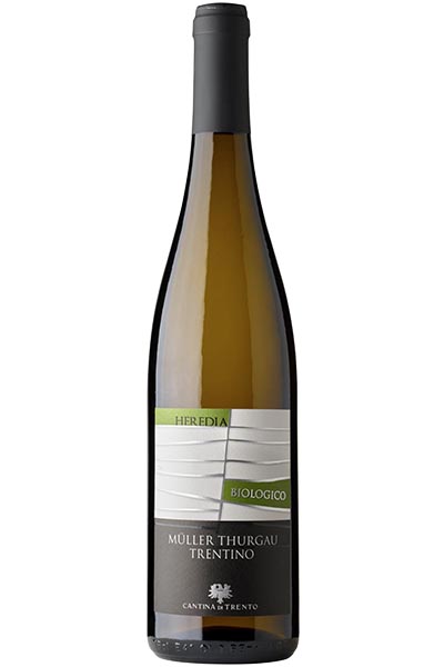 Muller Thurgau, Cantina di Trento, Trentino, Italy, 2023