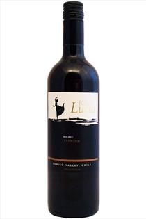 Malbec, Premium, Bella Lucia, Curico Valley, Chile, 2022