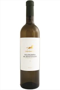 Falanghina, Bianco, Indomito, Aglianico del Beneventano, Campania, Italy, 2020