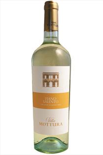 Fiano de Salento, Azienda Villa Mottura, Puglia, Italy, 2021