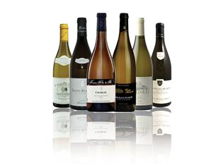 The 6 Best Wineries of White Burgundy