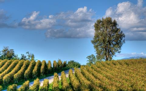 Lombardia