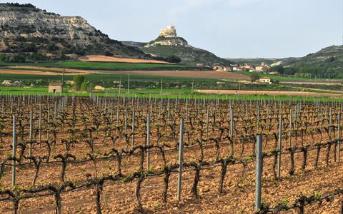 Ribera del Duero